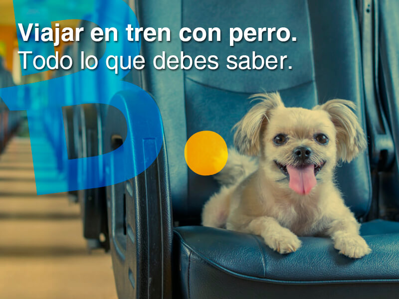 viajar en tren con perro